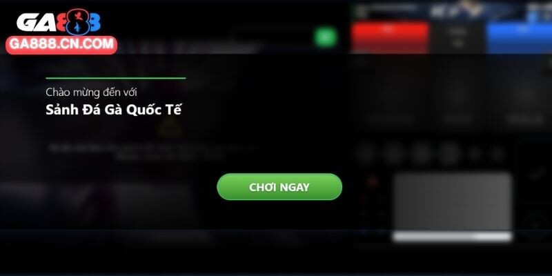 Đá Gà CPC1 - Điểm Hẹn Giải Trí Cuốn Hút Cho Hội Viên