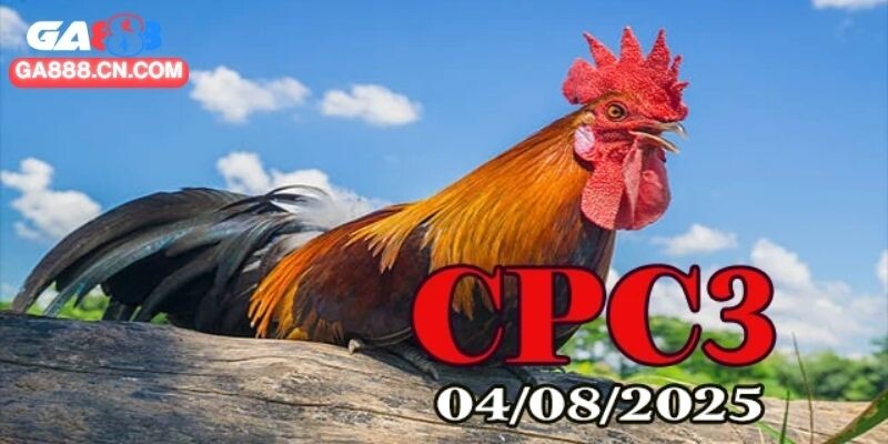 Vài nét cơ bản về trường đá gà CPC3