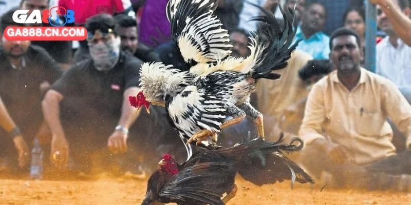 Đòn ôm đấm làm cho đối thủ bị văng xa