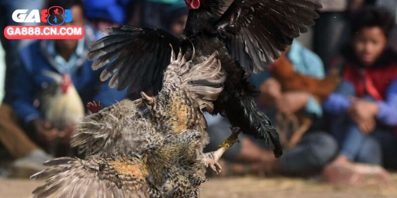 Luyện phản xạ tạo lợi thế trong tình huống bất ngờ