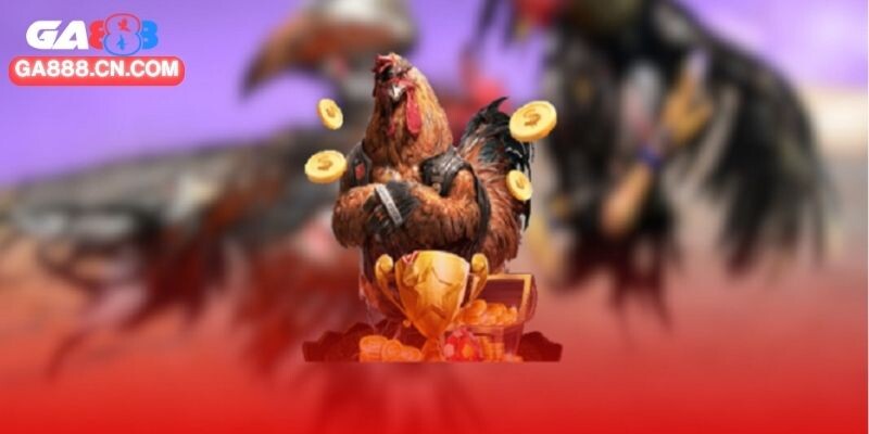 Xem Ngày Đá Gà Tốt Chuẩn Xác Nhất Cho Các Trận Đấu